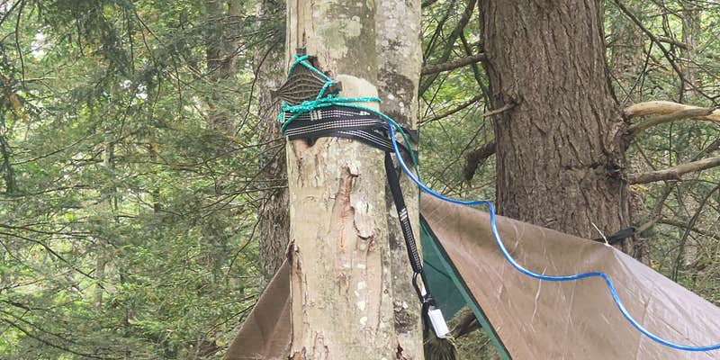 Camper submitted image from Island Campground