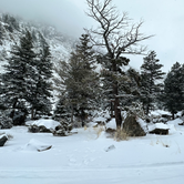Review photo of Canyon Campground by Ross B., March 6, 2023