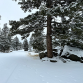 Review photo of Canyon Campground by Ross B., March 6, 2023