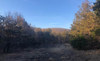 Conceptual S.'s photo of a dispersed camping area at Blair Ridge Rd Dispersed near Berryville, AR