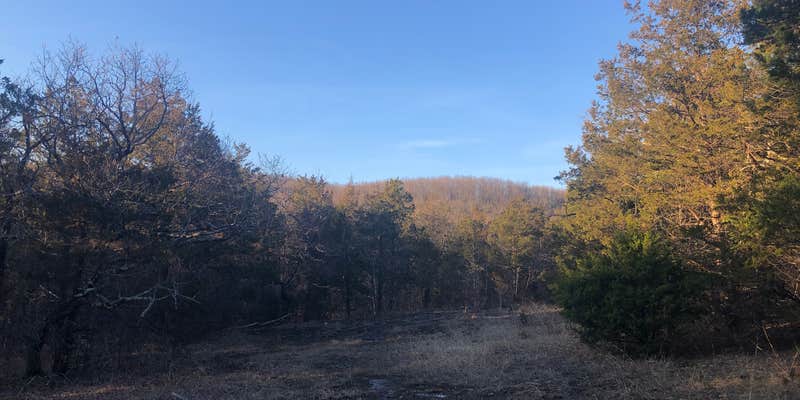 Camper submitted image from Blair Ridge Rd Dispersed