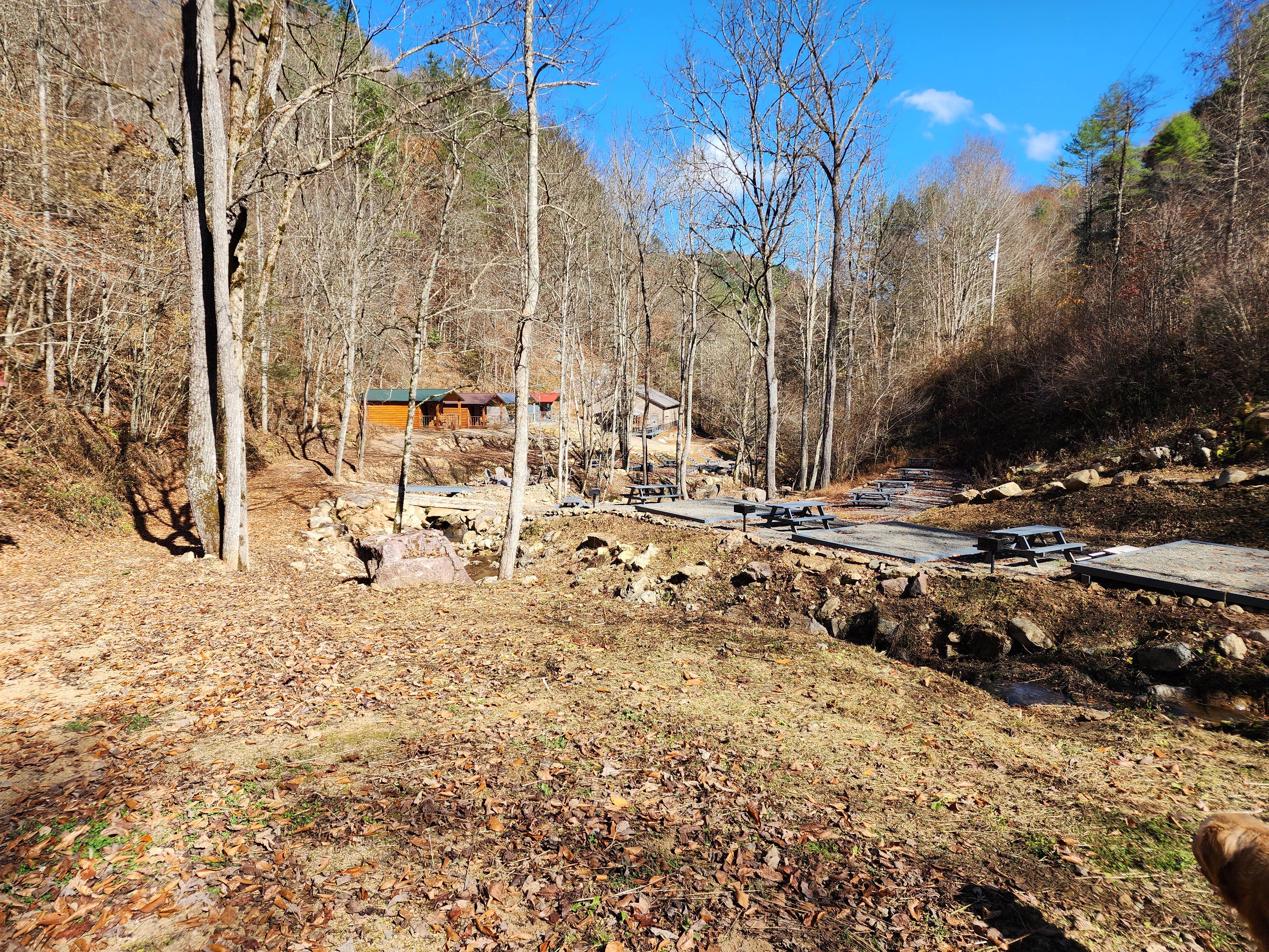 Darren C.'s photo of camping with pets at Camp Faith - Temporarily Closed near Unicoi, TN