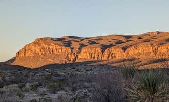 Camping near Hannold Draw — Big Bend National Park: Willow Tank — Big Bend National Park, Big Bend National Park, Texas