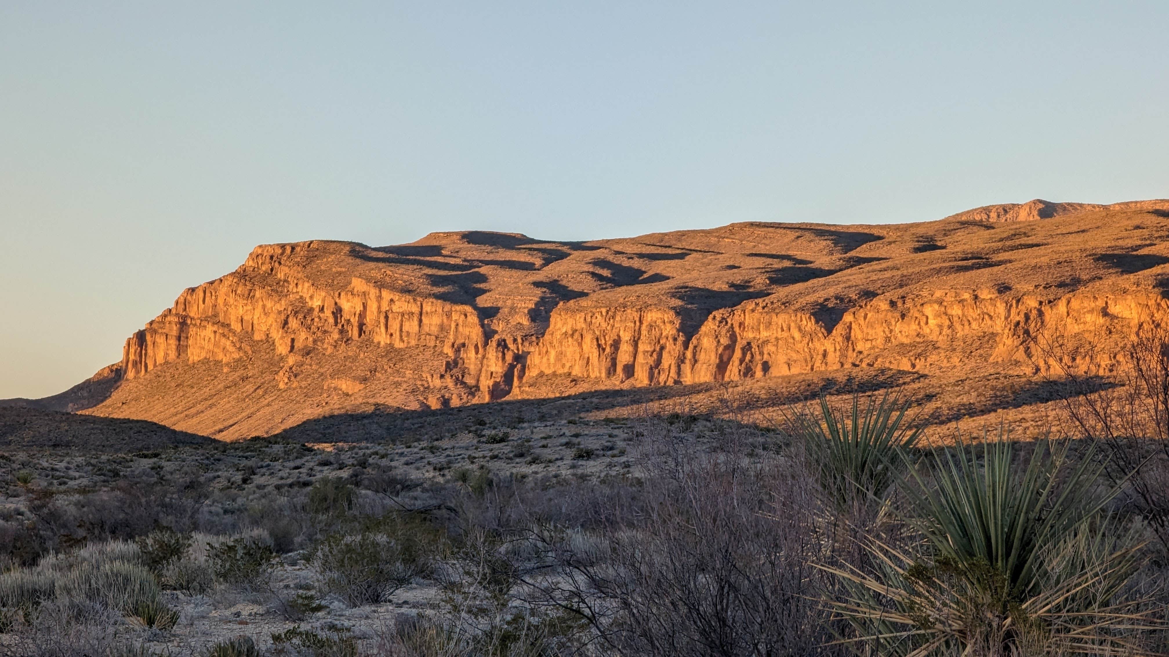 Camper submitted image from Big Bend NP - Willow Tank - 1