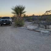 Review photo of Big Bend NP - Willow Tank by Jennifer R., March 6, 2023