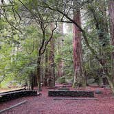 Review photo of Jedidiah Smith Campground — Redwood National Park by Duncan G., March 6, 2023