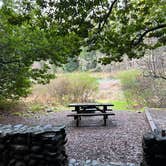 Review photo of Jedidiah Smith Campground — Redwood National Park by Duncan G., March 6, 2023