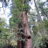 Review photo of Jedidiah Smith Campground — Redwood National Park by Duncan G., March 6, 2023