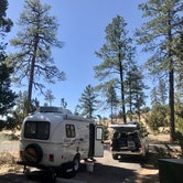 Review photo of Juniper Family Campground — Bandelier National Monument by Bill R., March 7, 2023