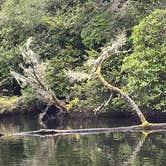 Review photo of Umpqua Lighthouse State Park Campground by Duncan G., March 7, 2023