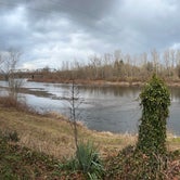 Panorama of the river from site 103