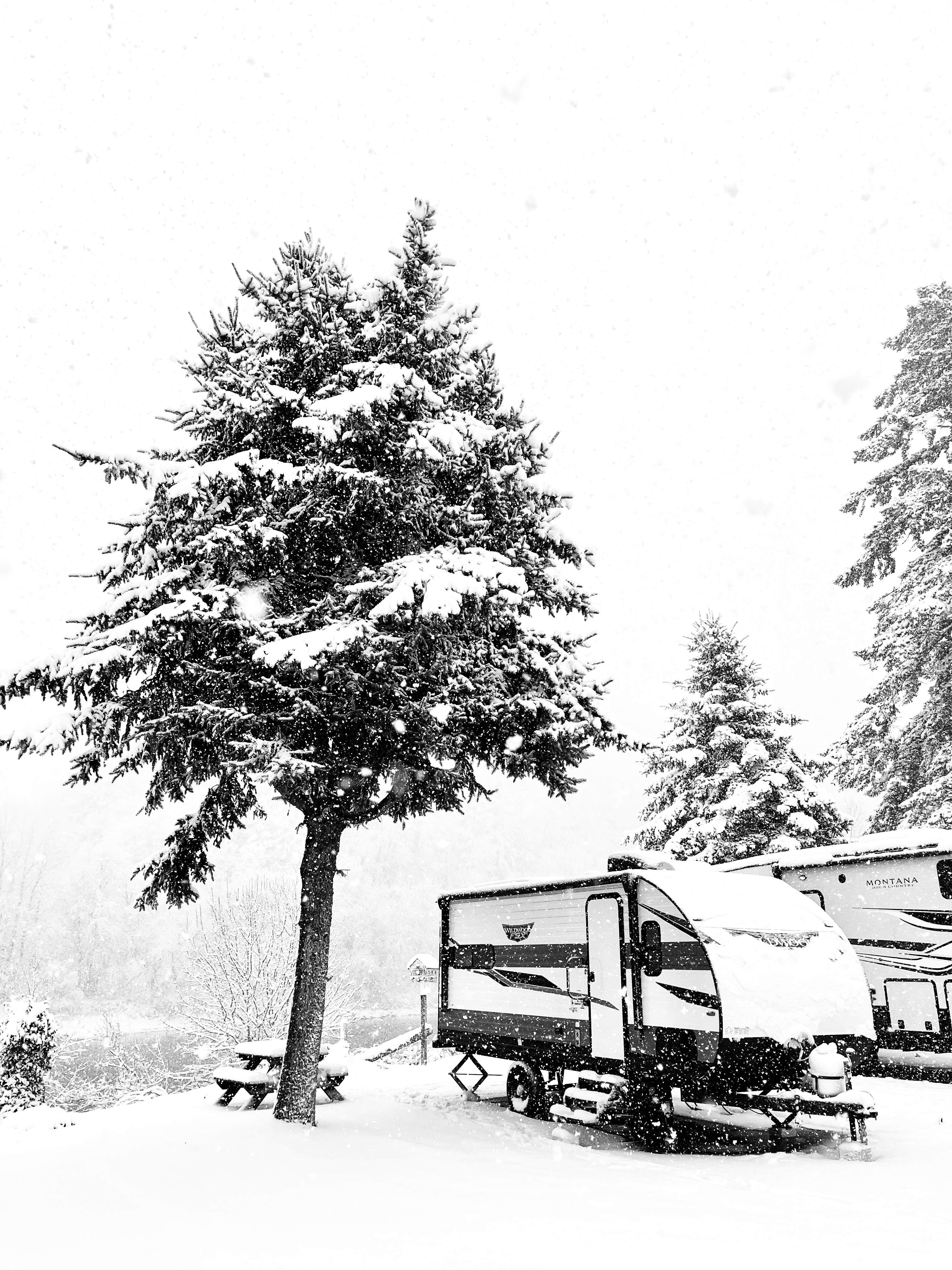 Camper-submitted photo at Sandy Riverfront RV Resort near Camas, WA