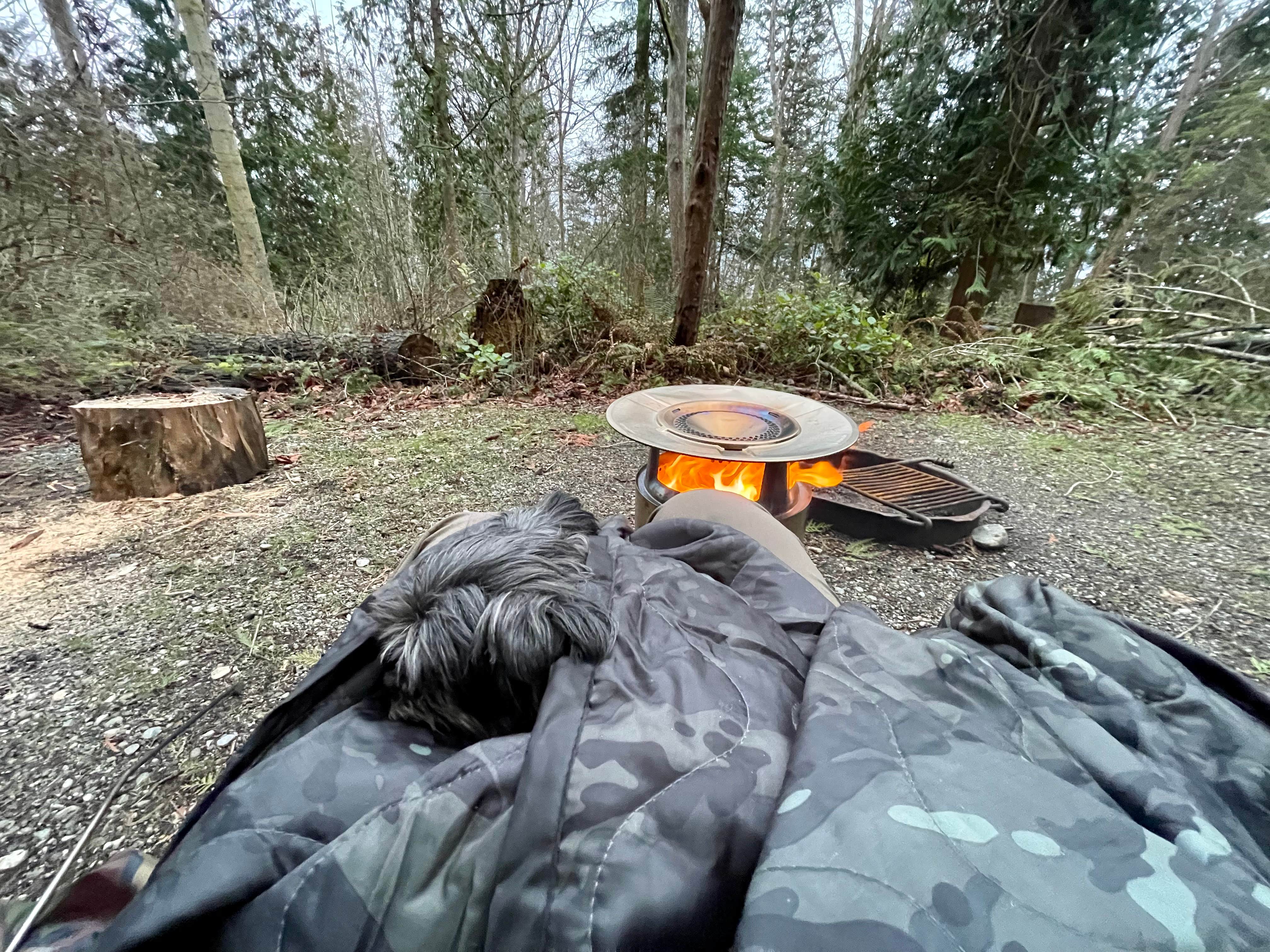 L & J L.'s photo at Camano Island State Park Campground near Port Townsend, WA
