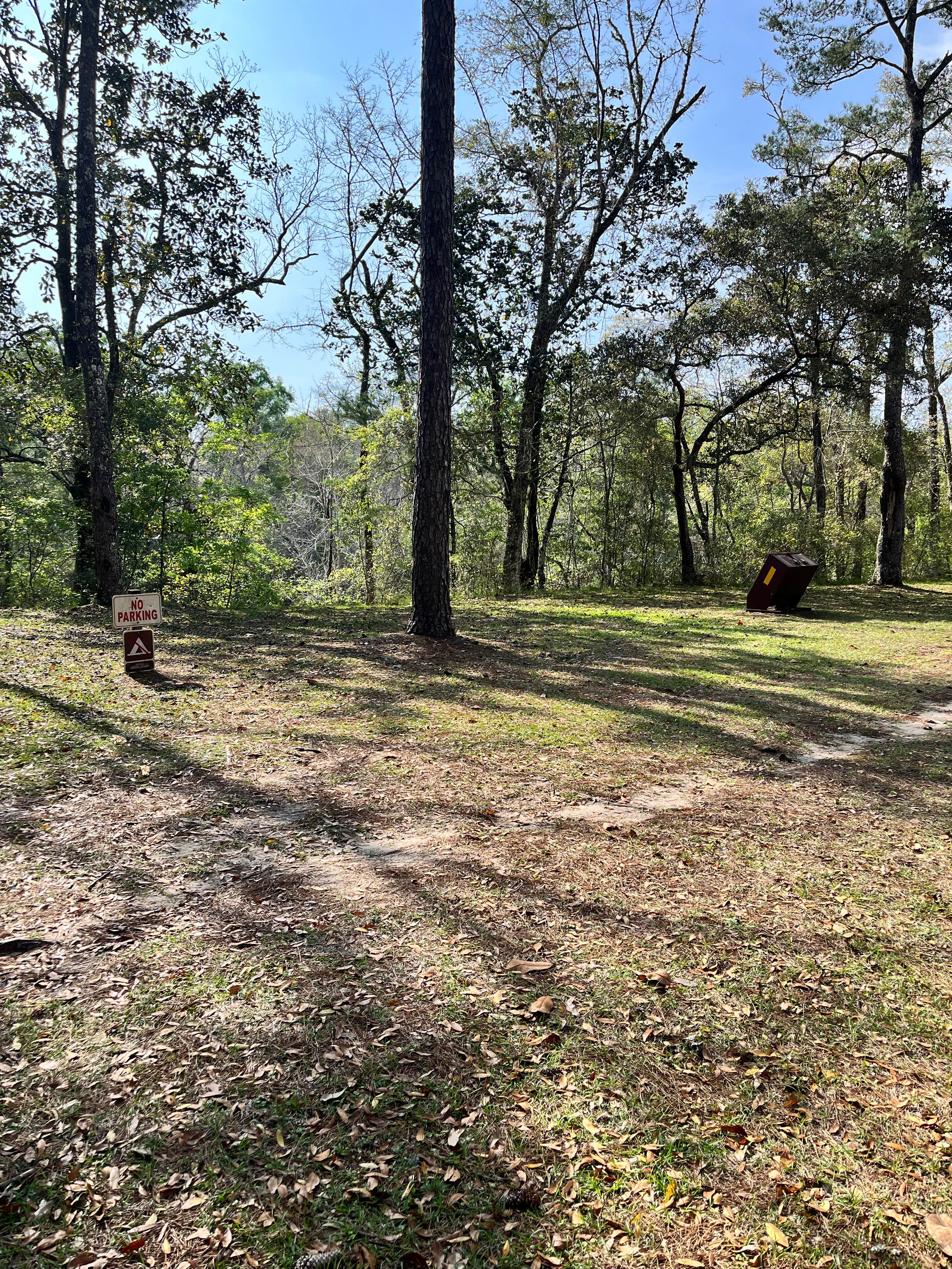Camping near Harpers Hunt Camp: Camp Mack, Sopchoppy, Florida