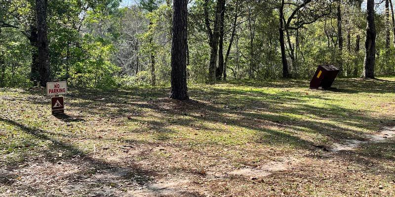 Camper submitted image from Camp Mack