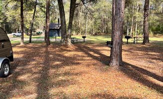 Travels W.'s photo at Camp Mack near Eastpoint, FL