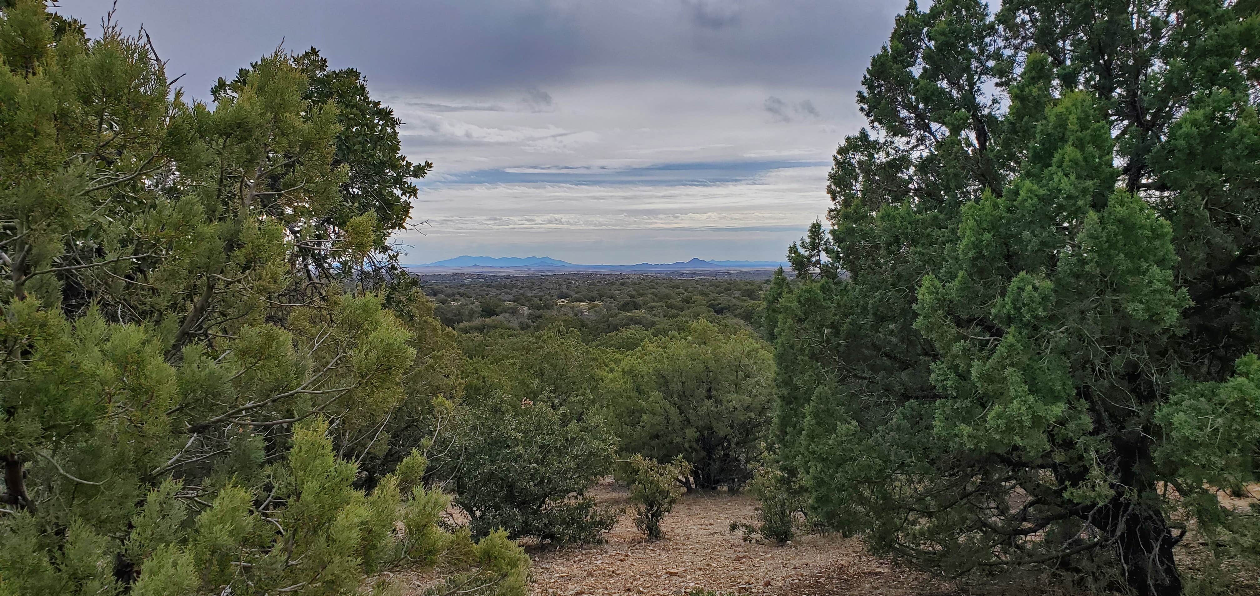 Camper-submitted photo at Cattlemen Trail - Dispersed Camping near Silver City, NM