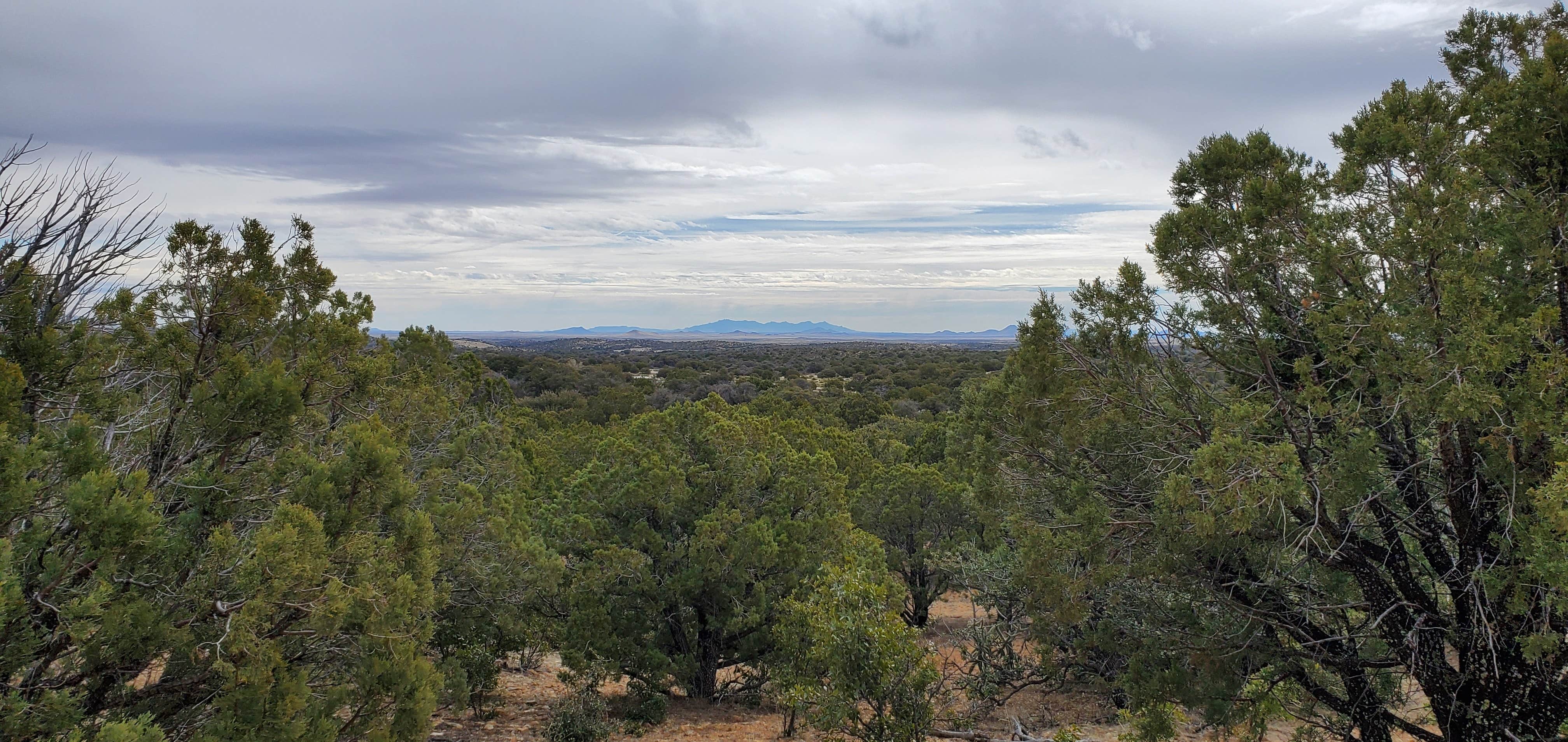 Camper-submitted photo at Cattlemen Trail - Dispersed Camping near Animas, NM