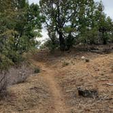 Review photo of Cattlemen Trail - Dispersed Camping by John R., March 6, 2023