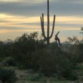 Review photo of Cactus Forest Dispersed Site by Ray L., March 7, 2023