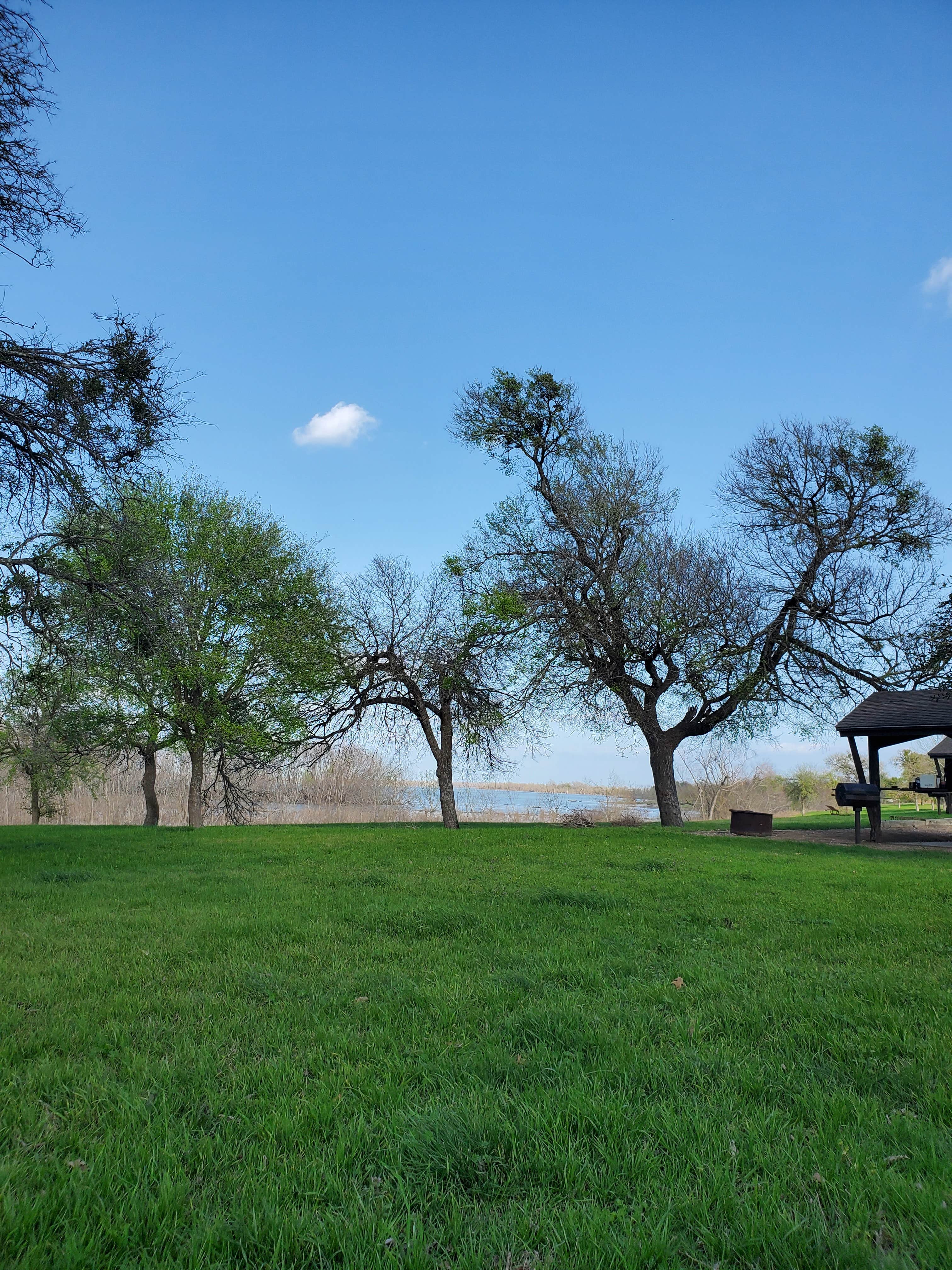 Camper-submitted photo at Willis Creek near Taylor, TX