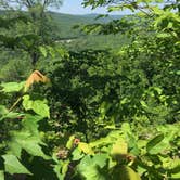 Review photo of Devil's Den State Park Campground by Chad K., August 14, 2016