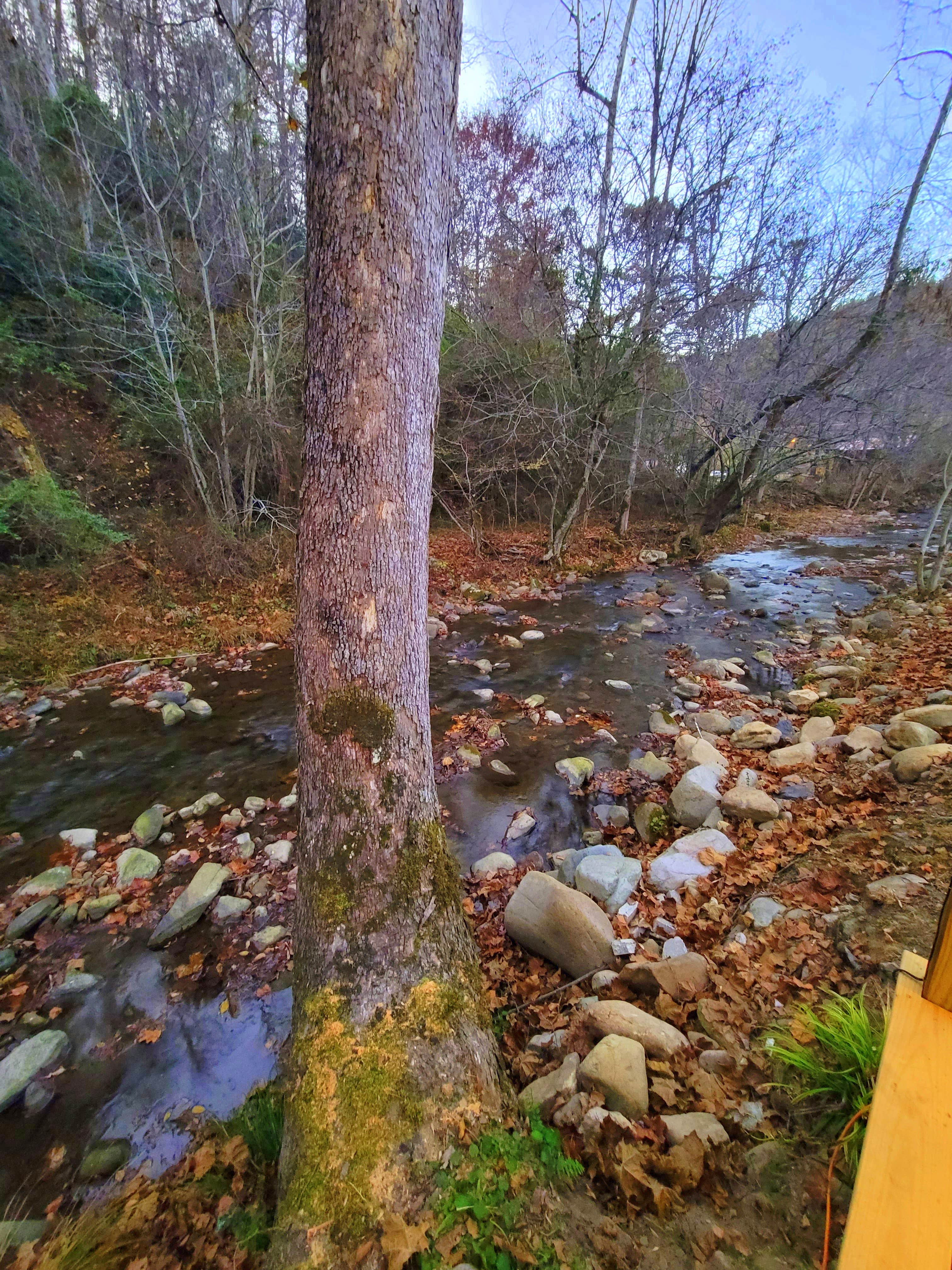 Camper submitted image from Creekside Stayz Glamping and camping in the Smokies - 2