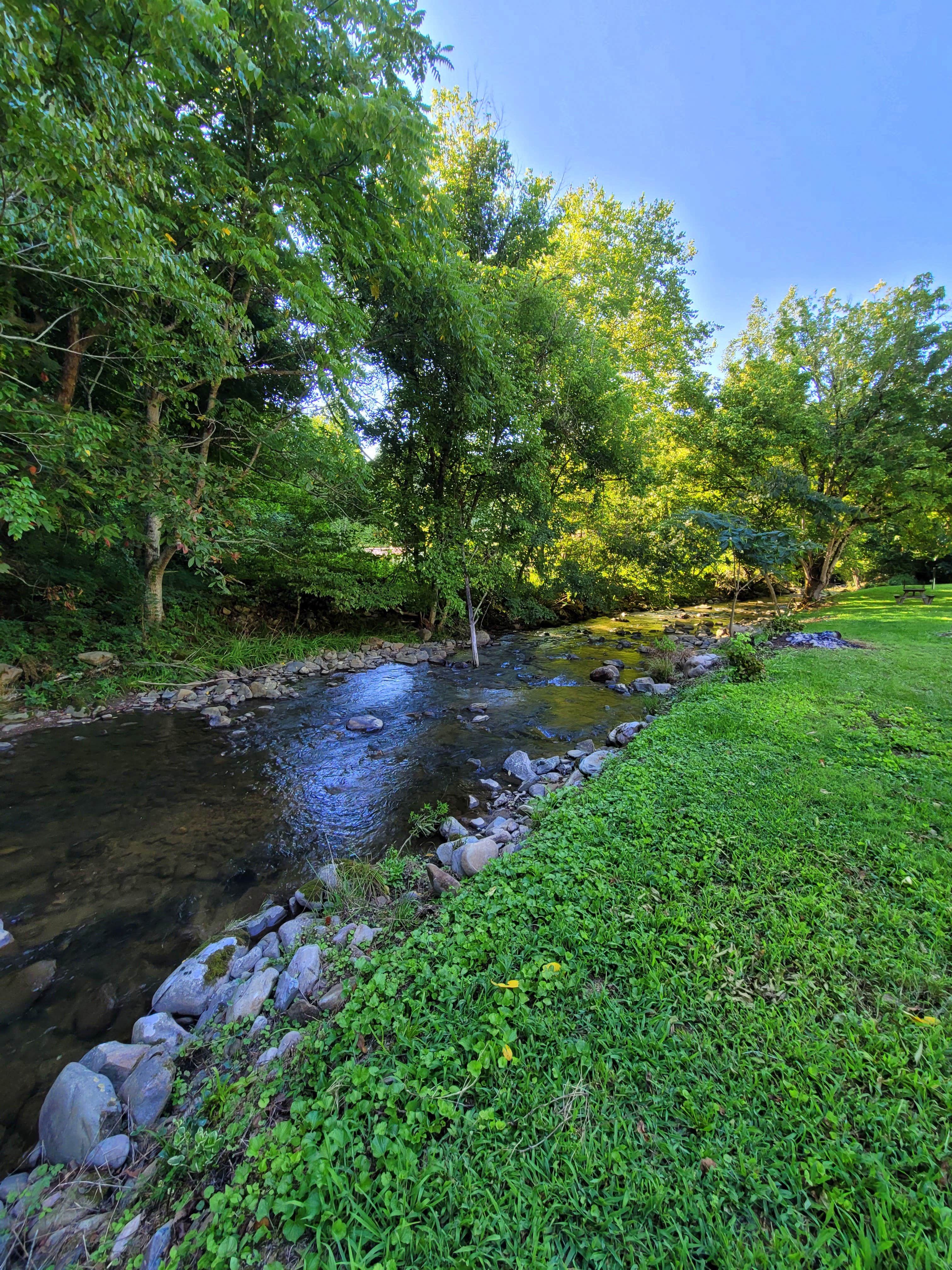 Camper submitted image from Creekside Stayz Glamping and camping in the Smokies - 1