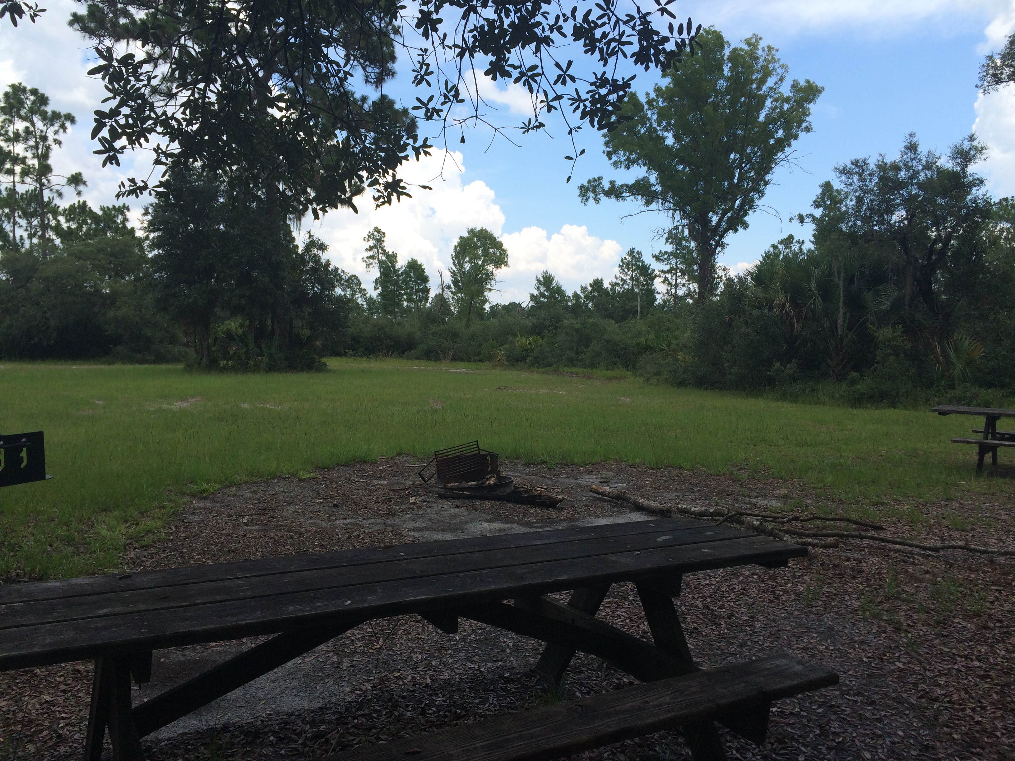 Camper-submitted photo at Seminole State Forest Primitive Campsites near Orange City, FL