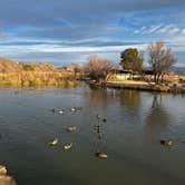 Review photo of Joshua Tree Lake RV & Campground by Patrick J., March 8, 2023