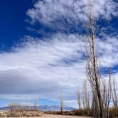 Review photo of Sand Dunes Recreation by Lannie B., March 8, 2023