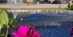 Camper submitted image from Meadows of San Juan Resort