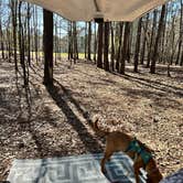 Review photo of Lynches River County Park by Heather , March 8, 2023