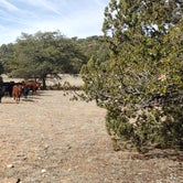 Review photo of Cattlemen Trail - Dispersed Camping by John R., March 6, 2023