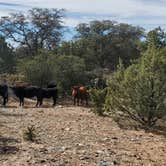 Review photo of Cattlemen Trail - Dispersed Camping by John R., March 6, 2023