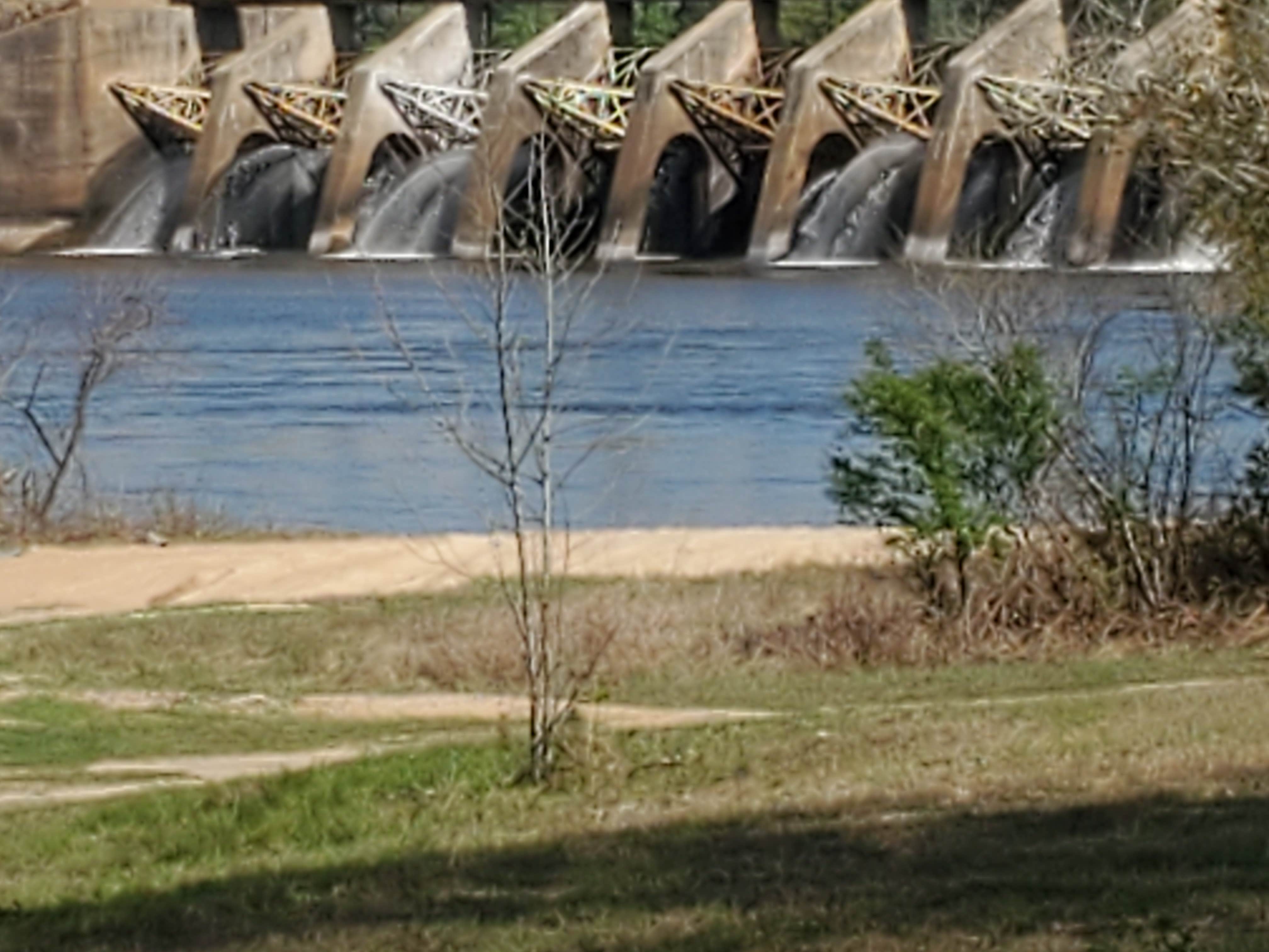 Camper-submitted photo at Killebrew Park near Plains, GA