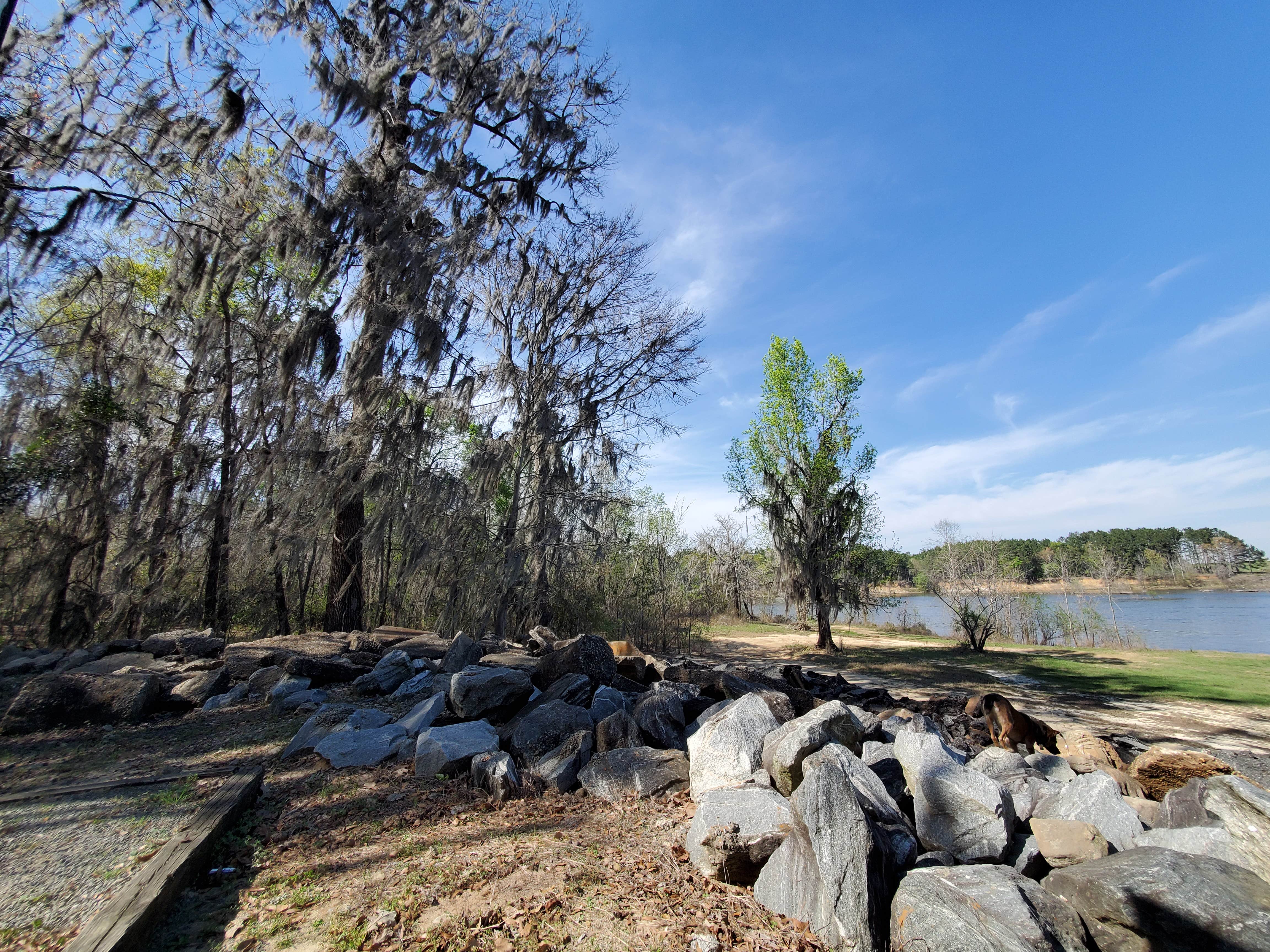 debe K.'s photo of camping with pets at Killebrew Park near Americus, GA