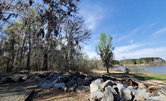 debe K.'s photo of camping with pets at Killebrew Park near Doerun, GA