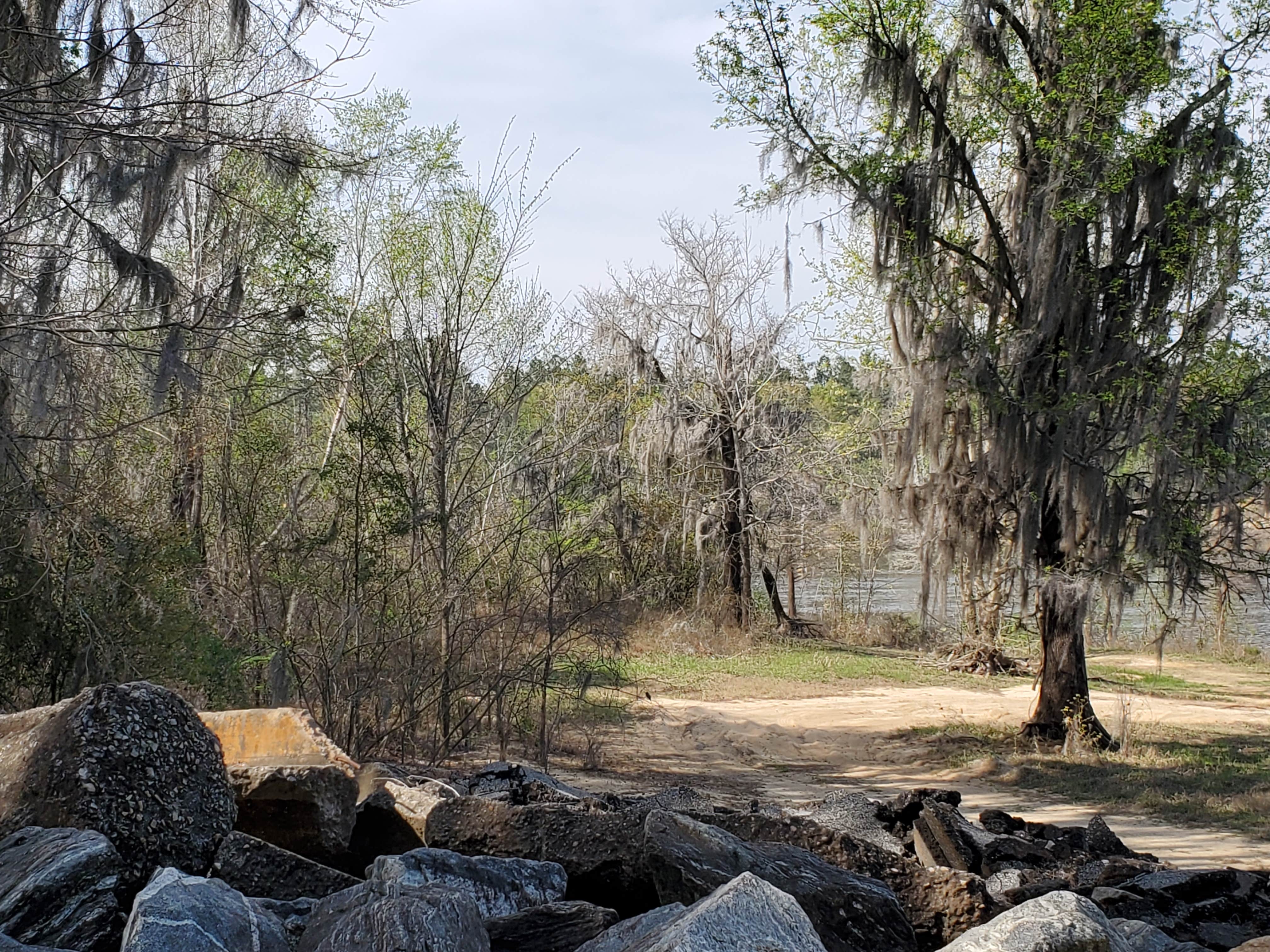 Camper-submitted photo at Killebrew Park near Plains, GA