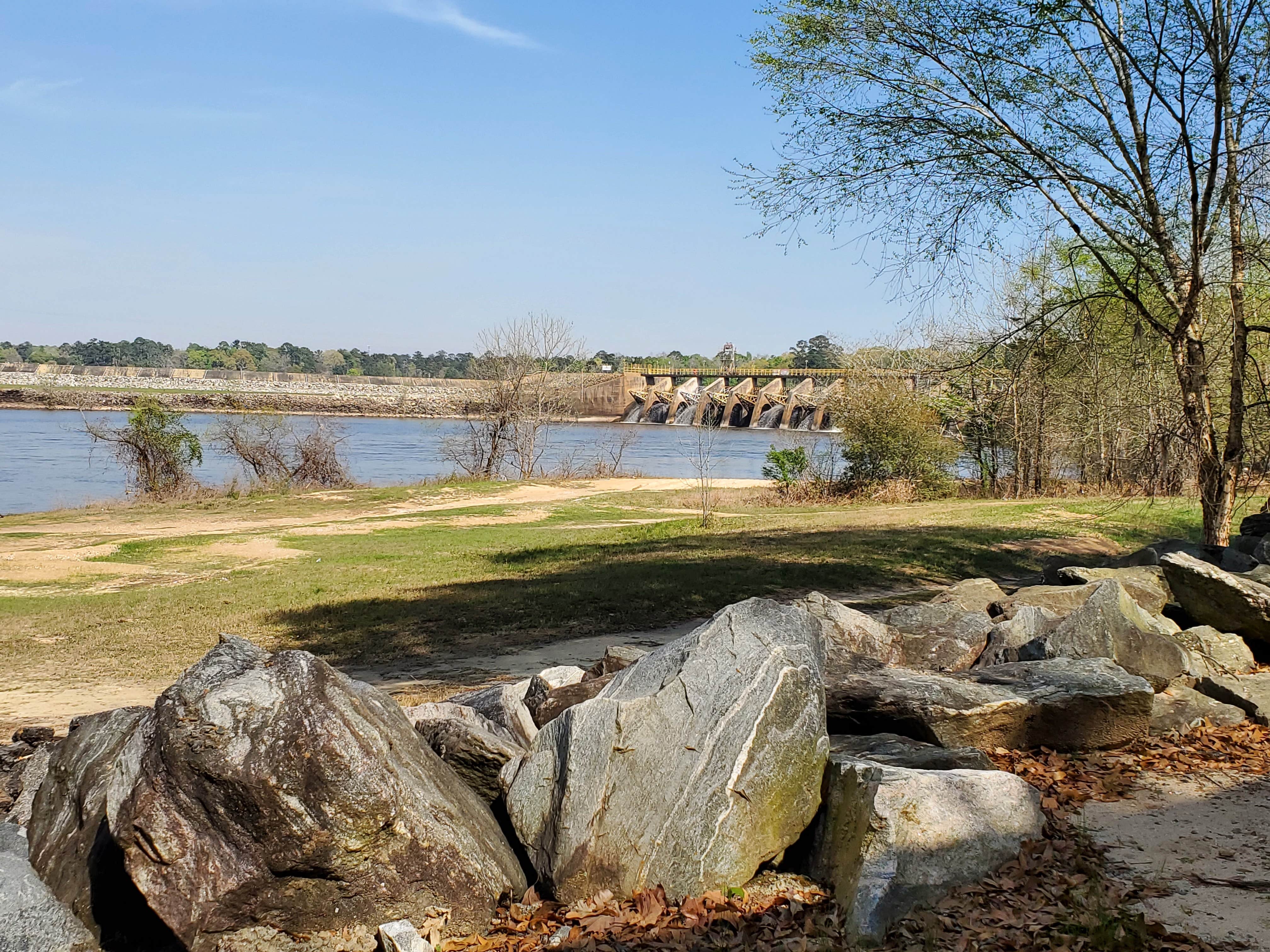 Camper-submitted photo at Killebrew Park near Plains, GA