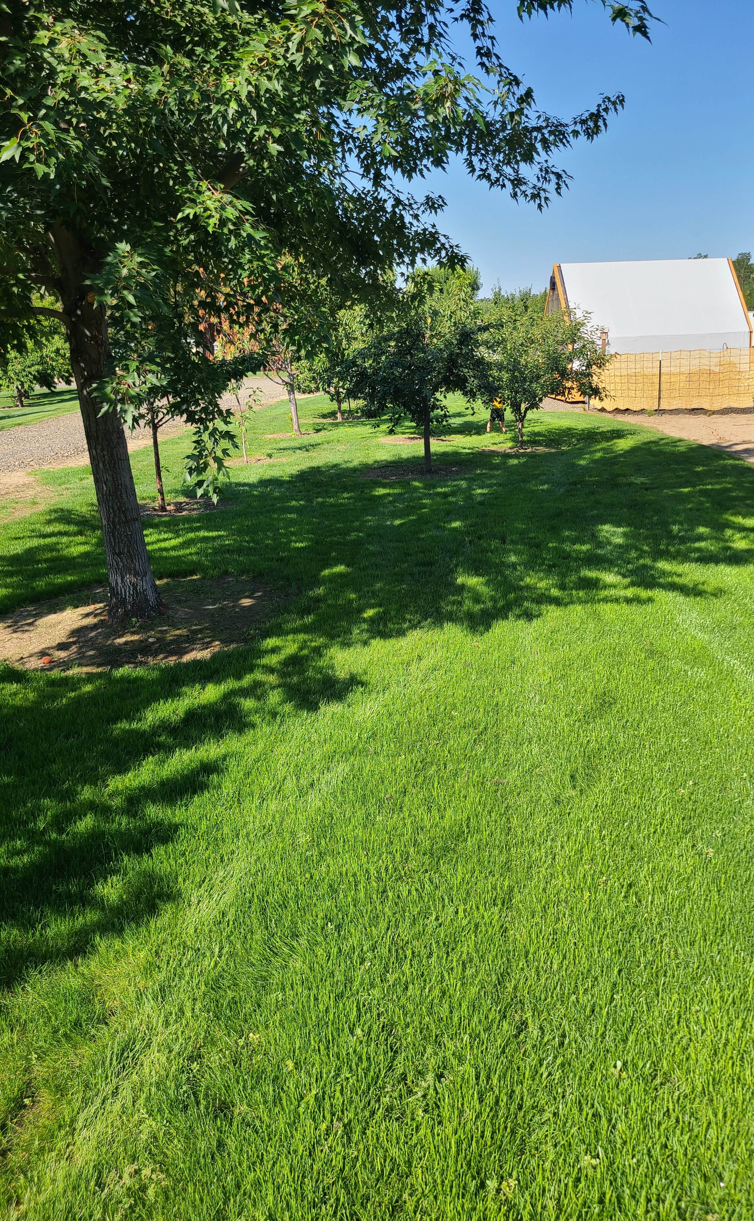 Camper-submitted photo at Terriland near Sweet, ID