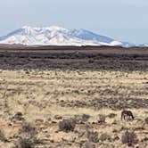 Review photo of Homolovi State Park Campground by Kellie , March 9, 2023