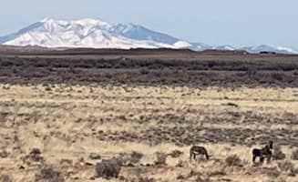 Kellie's photo of camping with pets at Homolovi State Park Campground near Petrified Forest Natl Park, AZ
