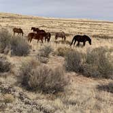 Review photo of Homolovi State Park Campground by Kellie , March 9, 2023