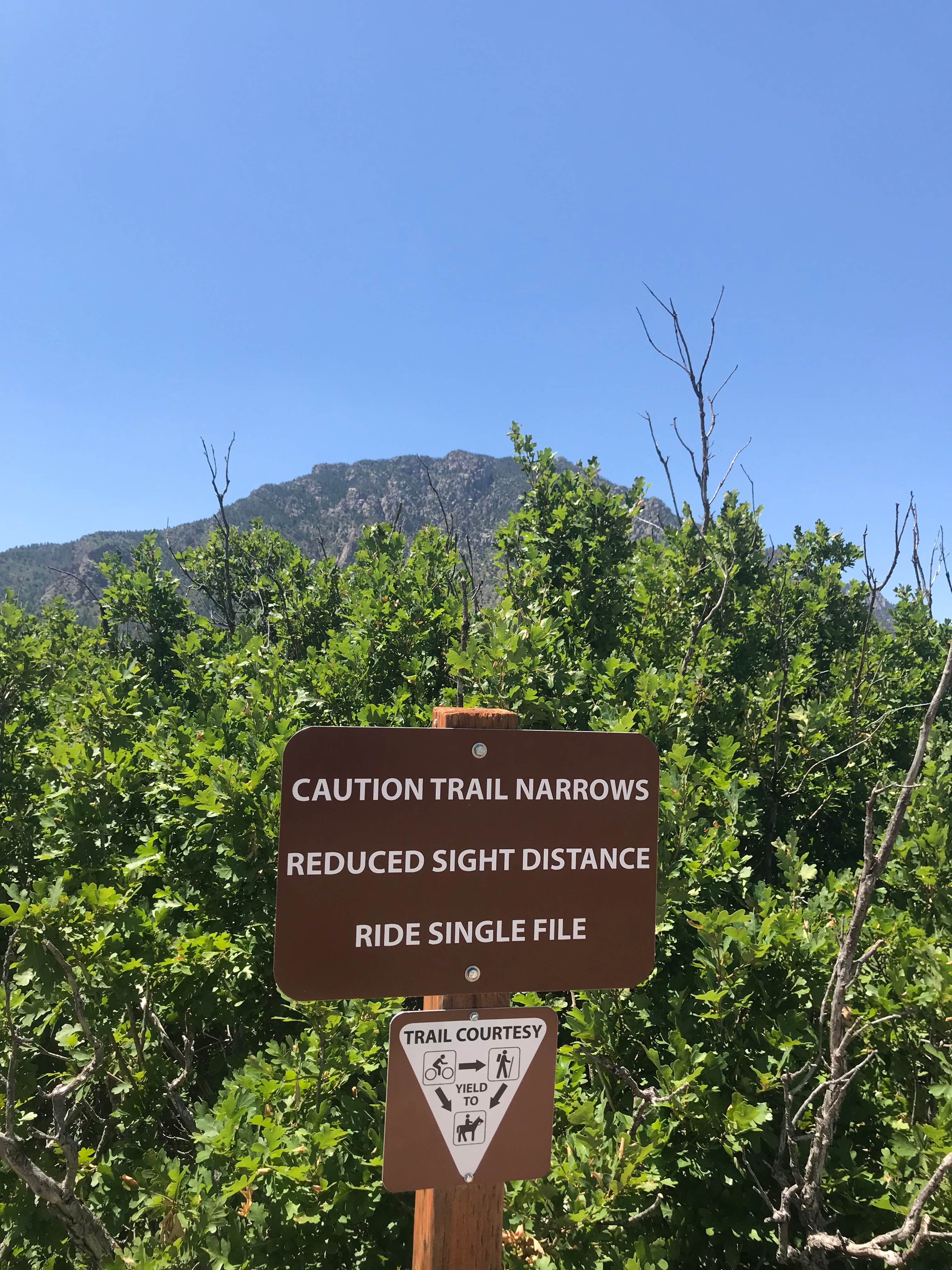 Camper submitted image from The Meadows Campground — Cheyenne Mountain State Park - 4