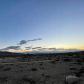 Review photo of Joshua Tree South - BLM Dispersed by Matt J., March 9, 2023