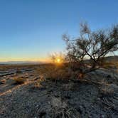 Review photo of Joshua Tree South - BLM Dispersed by Matt J., March 9, 2023