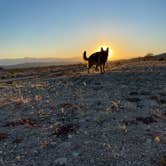 Review photo of Joshua Tree South - BLM Dispersed by Matt J., March 9, 2023