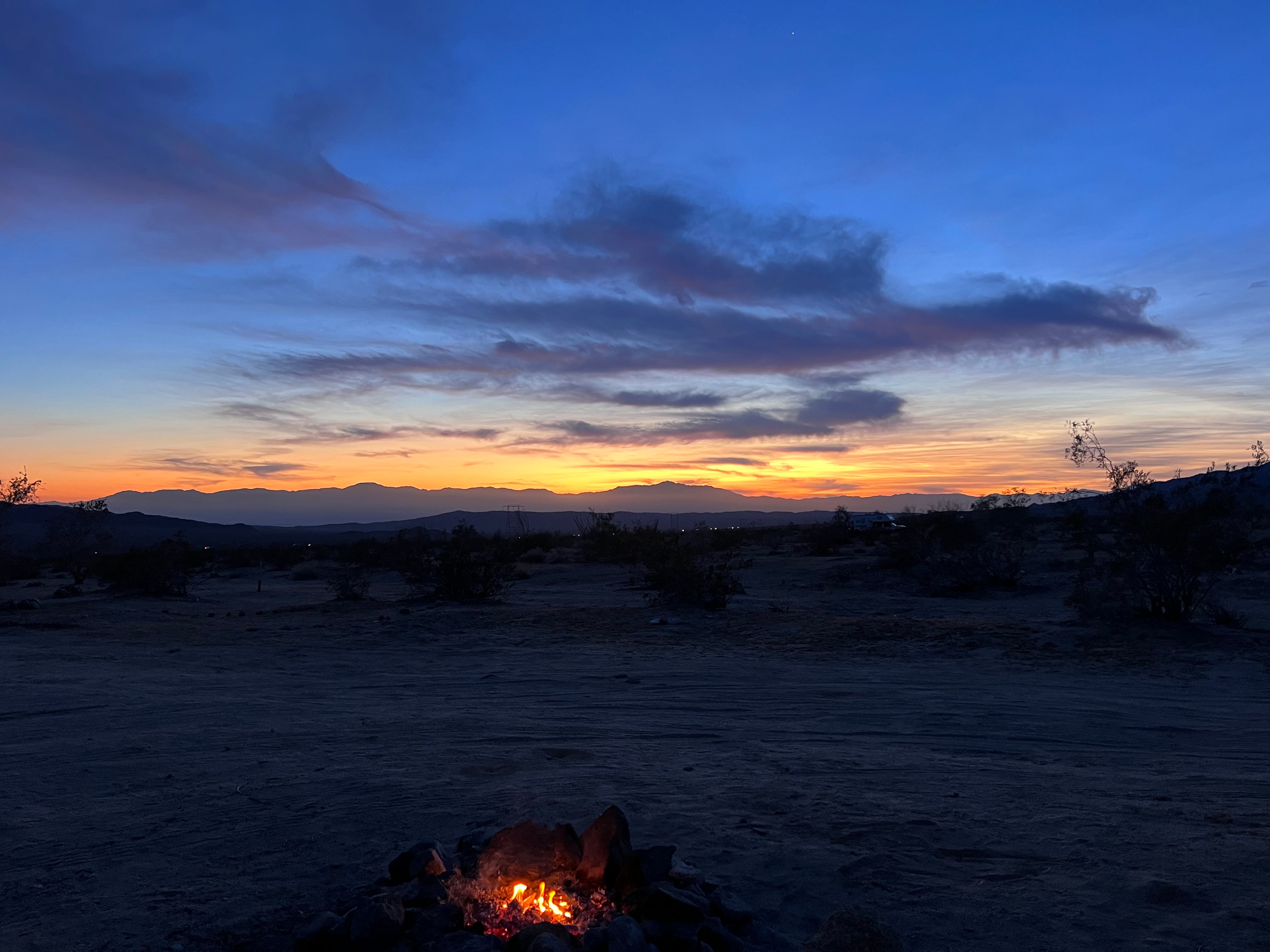 Camper submitted image from Joshua Tree South Dispersed Camping - 3