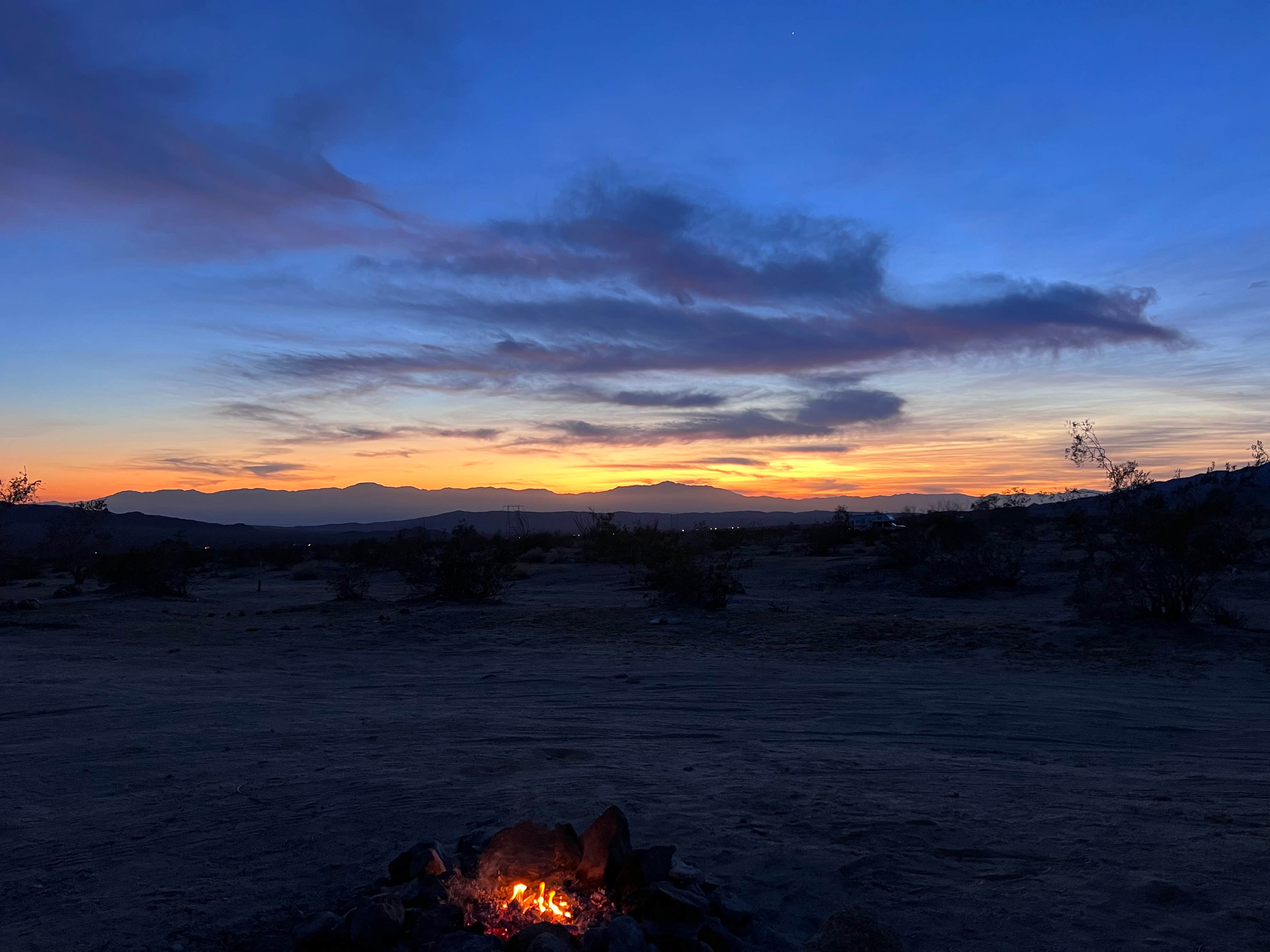 Camper submitted image from Joshua Tree South Dispersed Camping - 4